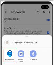 ndroid Chrome importera lösenord plats