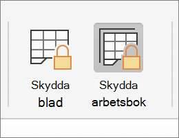 Skydda arbetsbok markerad i MacOS