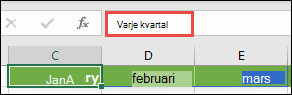 Använd en namngiven matriskonstant i en formel, t.ex. =Kvartal1, där Kvartal1 har definierats som ={"januari";"februari";"mars"}