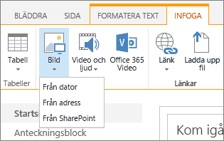 Skärmbild av menyfliksområdet i SharePoint Online. Välj fliken Infoga och välj sedan Bild för att välja om du vill ladda upp en fil från din dator, en webbadress eller en SharePoint-plats.