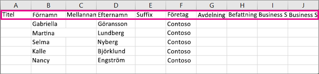 Så här ser exempelfilen i .csv-format ut i Excel.