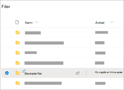 OneDrive-mappar med mappen Transkriberade filer synlig