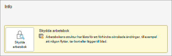 Skydda arbetsbok under menyn Info