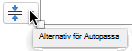 Verktyget Alternativ för Autopassa visas när en platshållare är fylld med text