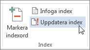 Uppdatera index