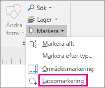 Klicka på Lassomarkering i gruppen Redigering på fliken Start.