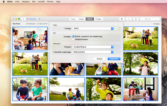 Ett exempel på ett filexportfönster på en Mac