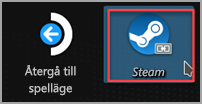 Hitta ikonen för Steam Desktop-klienten.