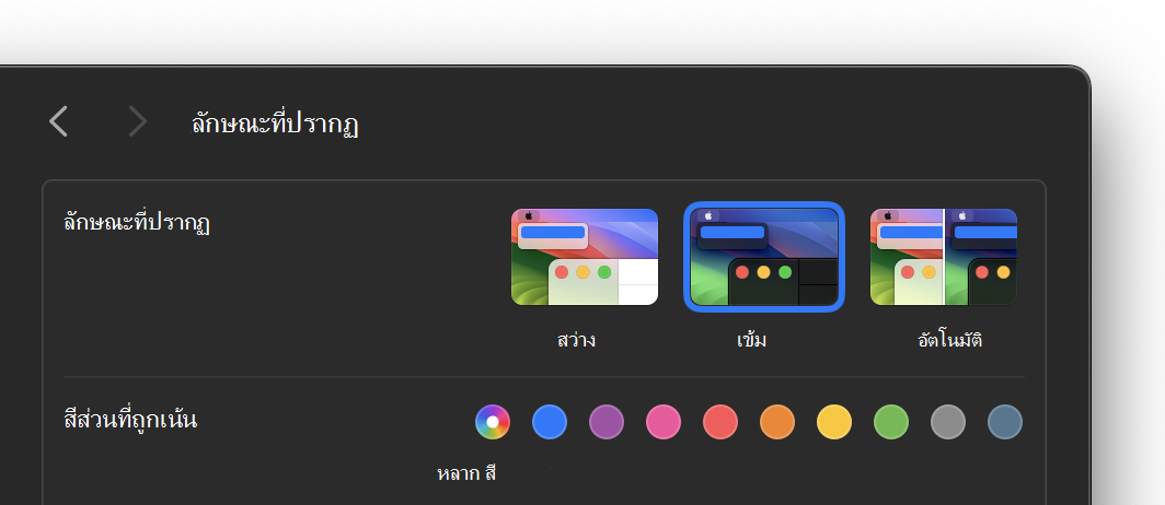 การตั้งค่าลักษณะสีเข้มบน macOS