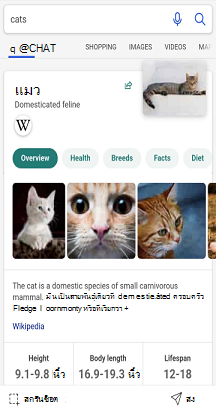 หน้าจอการค้นหาของ Bing ที่มีresults.png