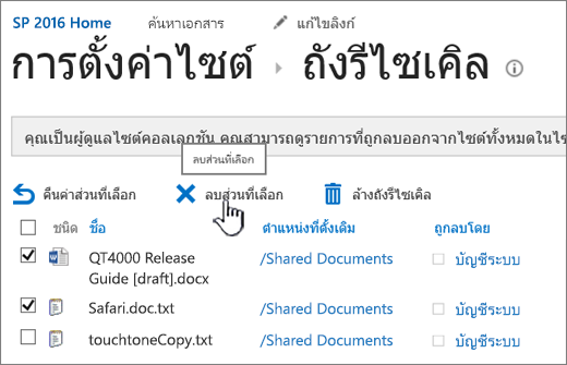 ปุ่ม ลบ ของหน้ารีไซเคิล SharePoint 2016 ถูกเน้นไว้