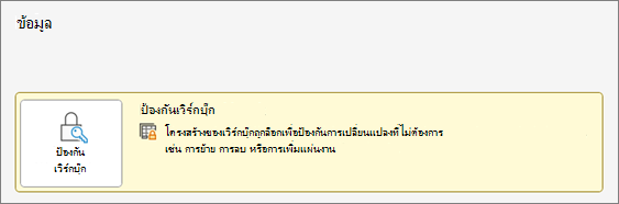 ป้องกันเวิร์กบุ๊ก ภายใต้เมนู ข้อมูล