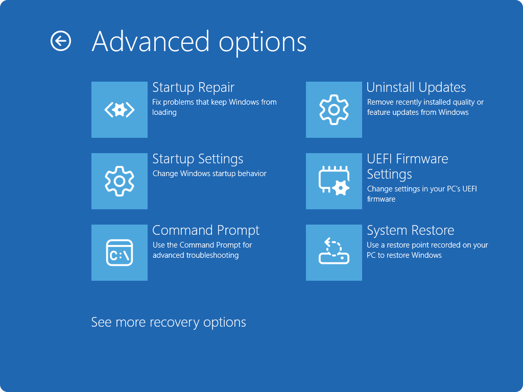 Screenshot of Windows RE - Advanced options screen.