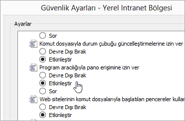 Programlı pano erişimine izin ver'i gösteren özel düzey ayarları