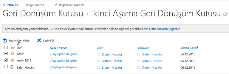 SharePoint geri yükle düğmesinin vurgulandığı ikinci düzey geri dönüşüm