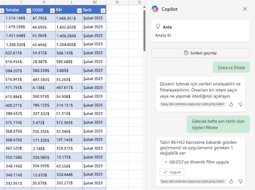 Excel’de Copilot’u kullanarak verileri filtrelemeyi gösteren ekran görüntüsü.