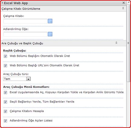 Araç bölmesinde Excel Web Access Web Bölümü için özellikleri seçin ve girin.
