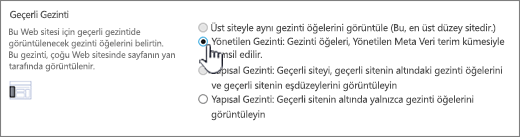 Yönetilen gezintiyi seçili geçerli gezinti bölümü