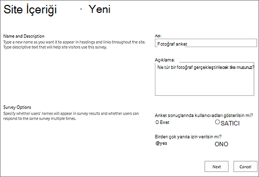 Metin kutularının doldurulduğu yeni anket iletişim kutusu.