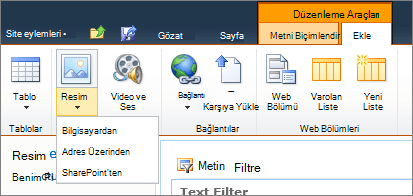 Şeritteki resim düğmesini tıklatın ve bilgisayar, adres veya SharePoint 'ten öğesini seçin.