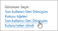 SharePoint 2013 Kullanıcıdan Sil’in vurgulanmış olduğu geri dönüşüm kutusu