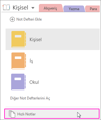 Hızlı Notlar seçeneğinin vurgulandığı OneNote 2016 Not Defterleri bölmesinin ekran görüntüsü