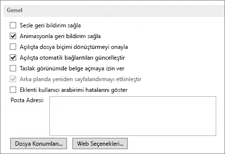 Word 2013 General options
