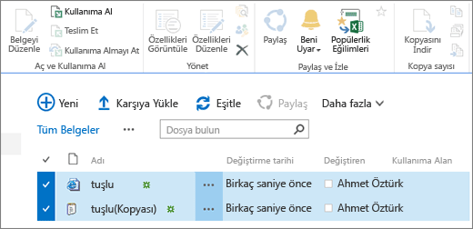 Şeritteki bir bölümü düzenle ve iki öğe seçili olarak liste