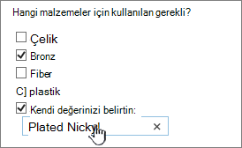 Ile anket sorusu kendi değerinizi belirtin