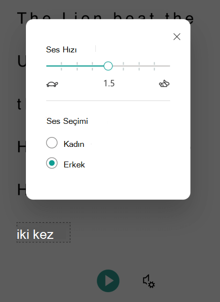 iOS için Microsoft Lens'te Tam Ekran Okuyucu'daki ses seçenekleri iletişim kutusu.