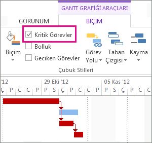 Critical Tasks check box on the ribbon and highlighted Gantt bars in Project 2013