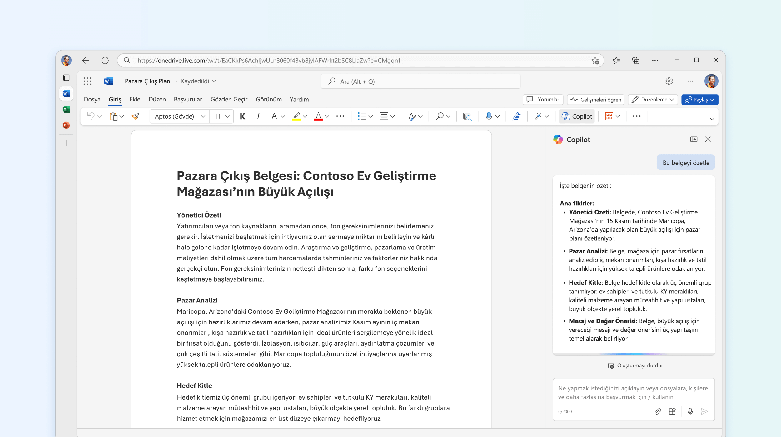 Word'de Copilot'ın belgeyi özetlediğini gösteren ekran görüntüsü.