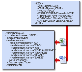 Şemalar, uygulamaların XML verilerini paylaşabilmesini sağlar.