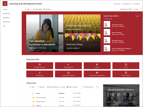 Liderlik ve geliştirme ekip sitesi şablonunun önizlemesini ekran görüntüsü