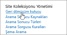 Site Koleksiyonu yönetim başlığı altında Geri Dönüştür vurgulanmış olarak Ayarlar