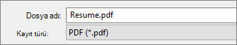 Kayıt türü kutusunda PDF'yi seçin.