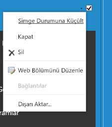 Web bölümünü Düzenle 'yi seçmek için Web Bölümü menüsü