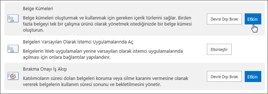 SharePoint için etkin hale ek olarak ek faaliyete ek olarak hazır hale ek olarak, Site Koleksiyonu özelliklerinin örnekleri