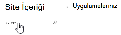 Anketin yazıldığı ve vurgulandığı Site İçeriği sayfasındaki arama kutusu