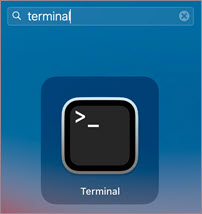 MacOS için Terminal simgesi