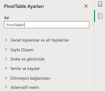 Web için Excel’de PivotTable ayarları bölmesi