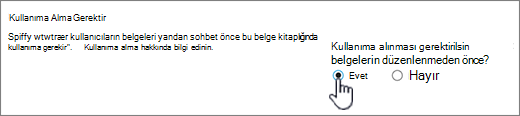 Belgelerin düzenlenmek üzere kullanıma alınması gerektir seçeneğinde Evet seçeneğinin vurgulandığı Ayarlar İletişim Kutusu