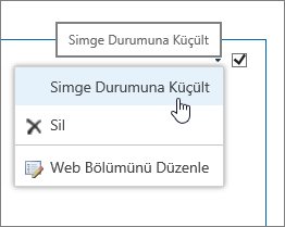 Simge durumuna küçült seçeneğinin vurgulandığı Web bölümü menüsü