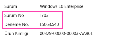 Windows sürümü ve yapı sayıları gösteren bir ekran görüntüsü