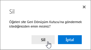 Sil'in vurgulu olduğu Öğe silme onay kutusu