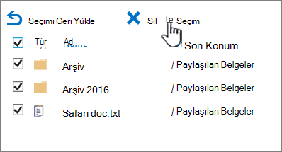 SharePoint 2016 2. düzey geri dönüşüm kutusu ve tüm öğeler seçili ve sil vurgulanmış