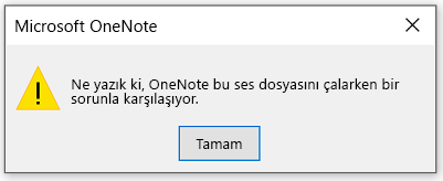 Ne yazık ki, OneNote bu ses dosyasını çalarken bir sorunla karşılaşıyor.