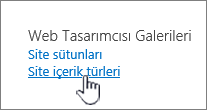 Site içerik türlerini seçme