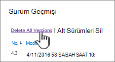 Tüm sürümleri sil seçeneğinin vurgulandığı Sürüm iletişim kutusu