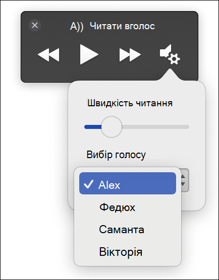 Four voice selection options displayed for Занурювач у текст Read Aloud feature